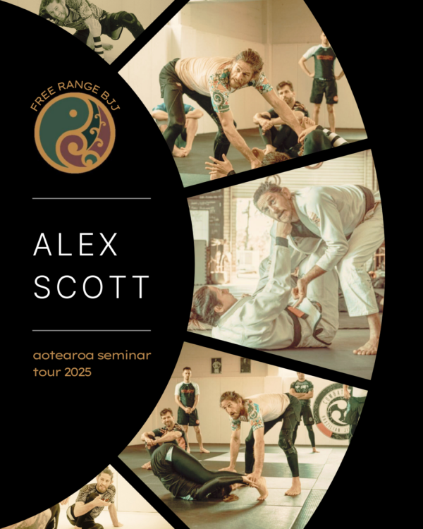 Professor Alex Scott - 2025 Seminar