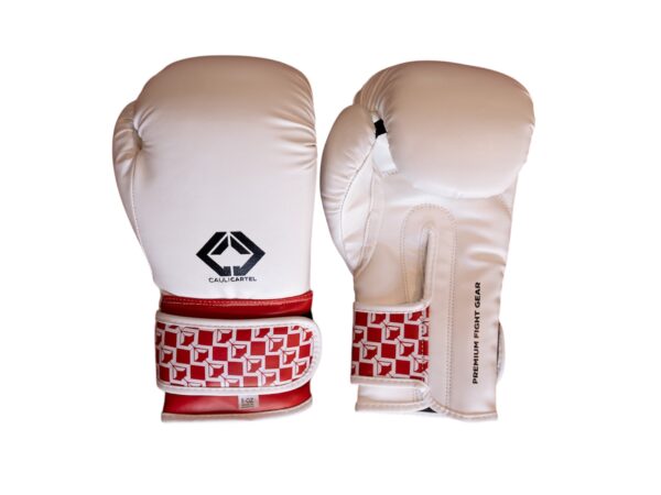 Cauli Cartel Kids Boxing Gloves