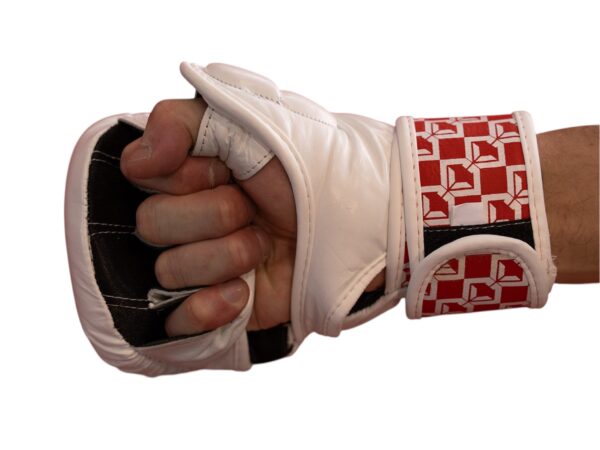 Cauli Cartel MMA Gloves - Image 3