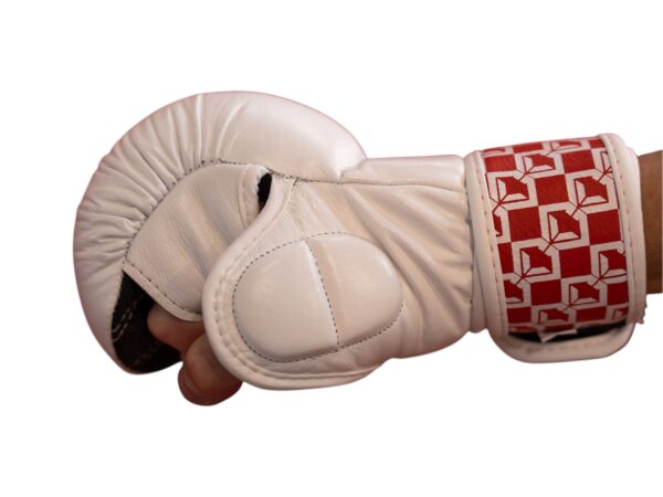 Cauli Cartel MMA Gloves - Image 4