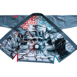 Red vs Blue Gi