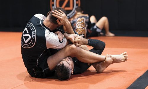 Adult No Gi Fumdamentals